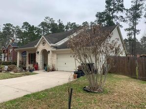 Exterior Painting in Spring Tx (1)