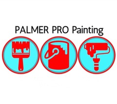 Palmer Pro